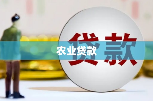 雄关农业贷款