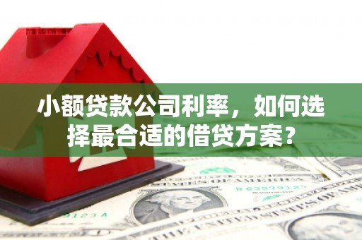 雄关小额贷款公司利率，如何选择最合适的借贷方案？
