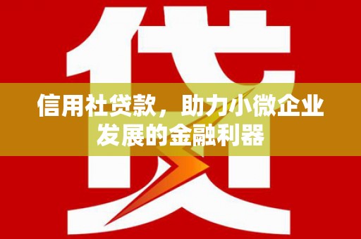 雄关信用社贷款，助力小微企业发展的金融利器