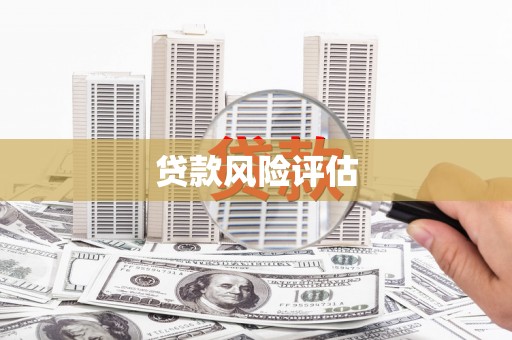 雄关贷款风险评估