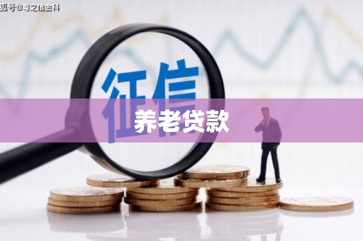 雄关养老贷款