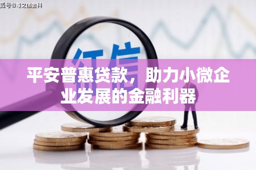 雄关平安普惠贷款，助力小微企业发展的金融利器