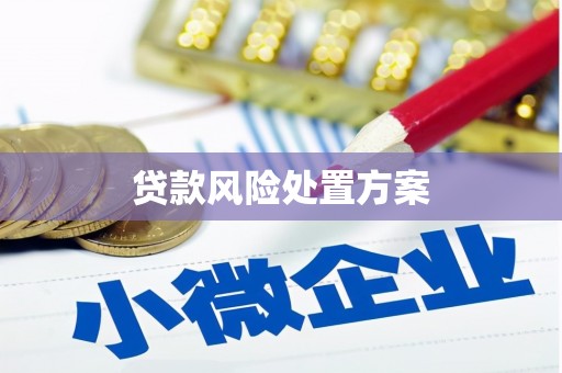 雄关贷款风险处置方案