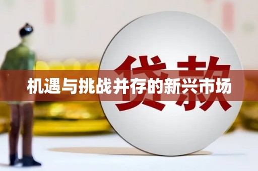 雄关机遇与挑战并存的新兴市场