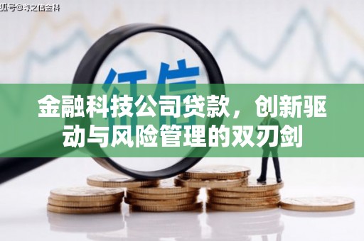 雄关金融科技公司贷款，创新驱动与风险管理的双刃剑