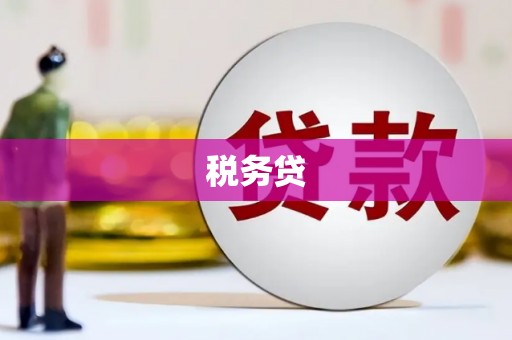 雄关税务贷